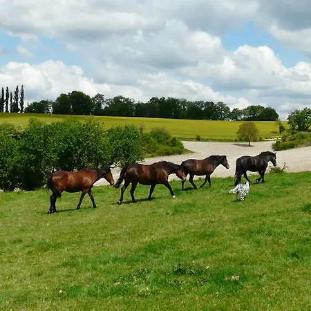 Domaine De Fauveau Bed & Breakfast